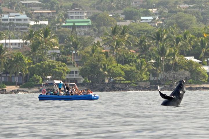 a small boat in a body of water