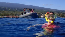 Captain Cook Express Snorkel Adventure