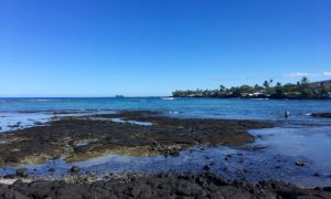 a sandy beach next to a body of water