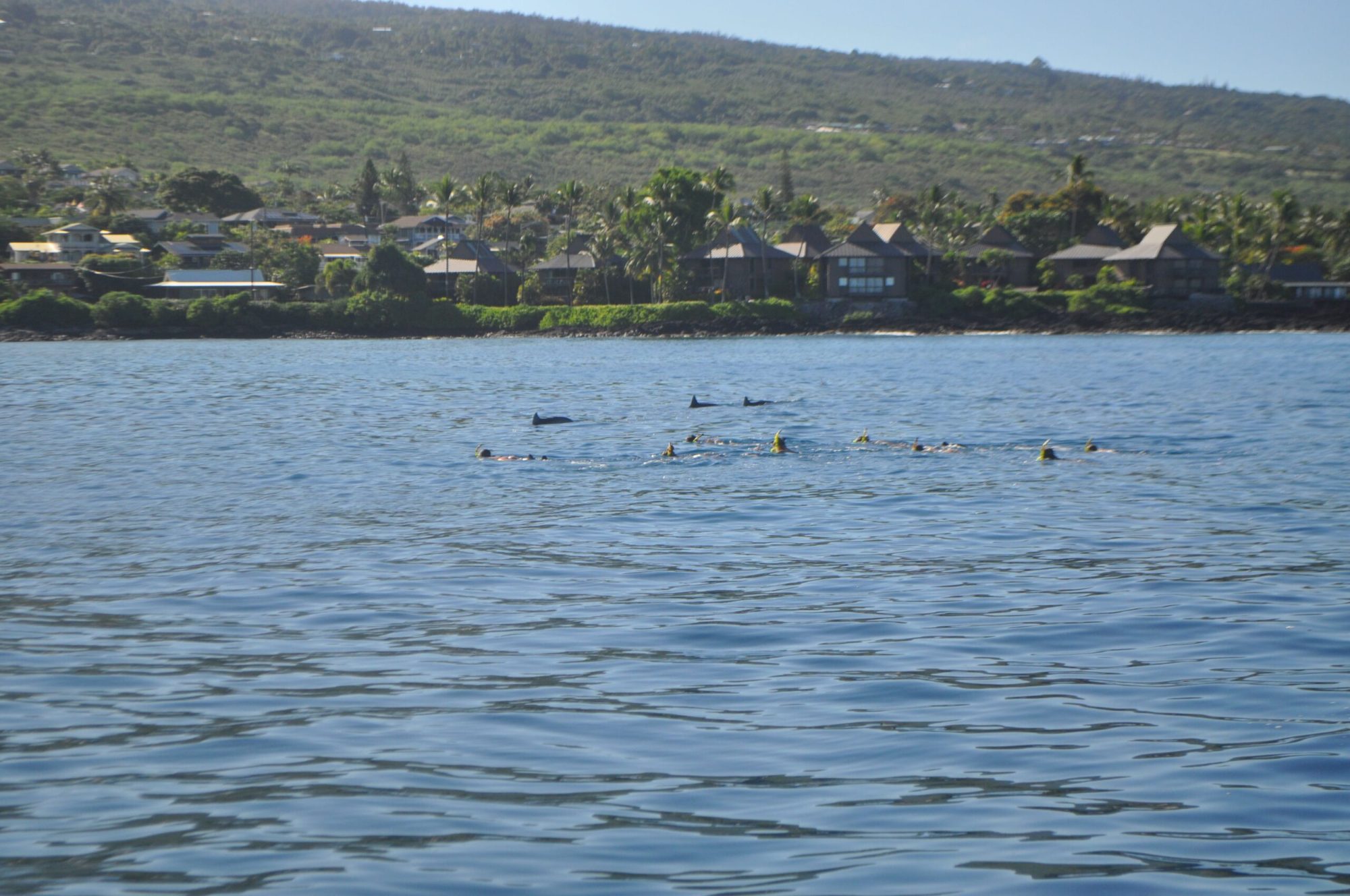 snorkeling on the big island of hawaii