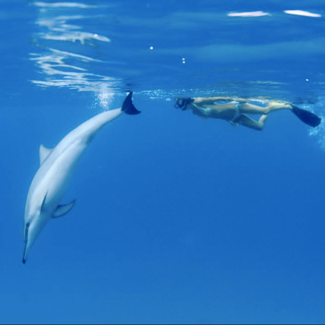 big island hawaii snorkeling tours