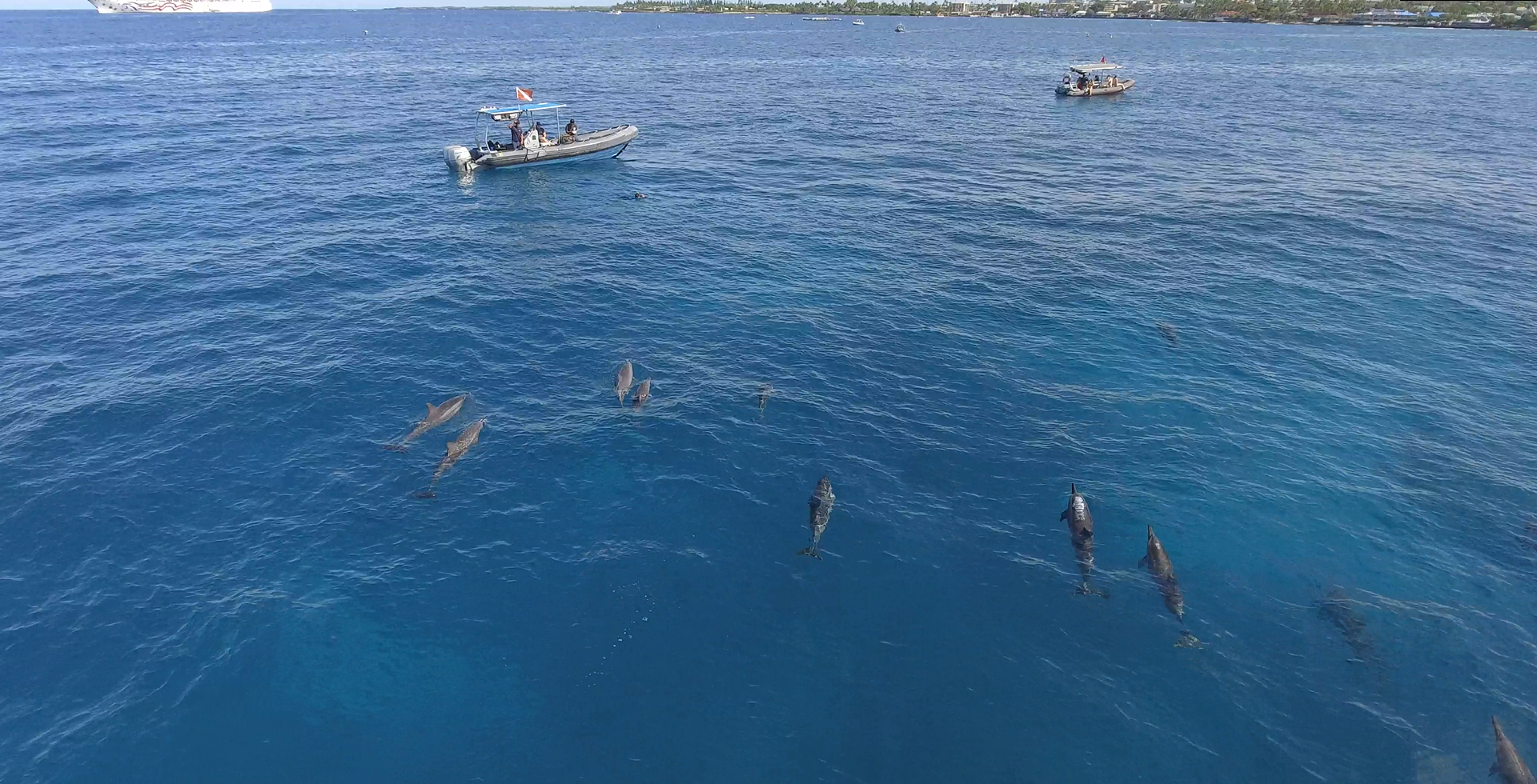 snorkel tours near me