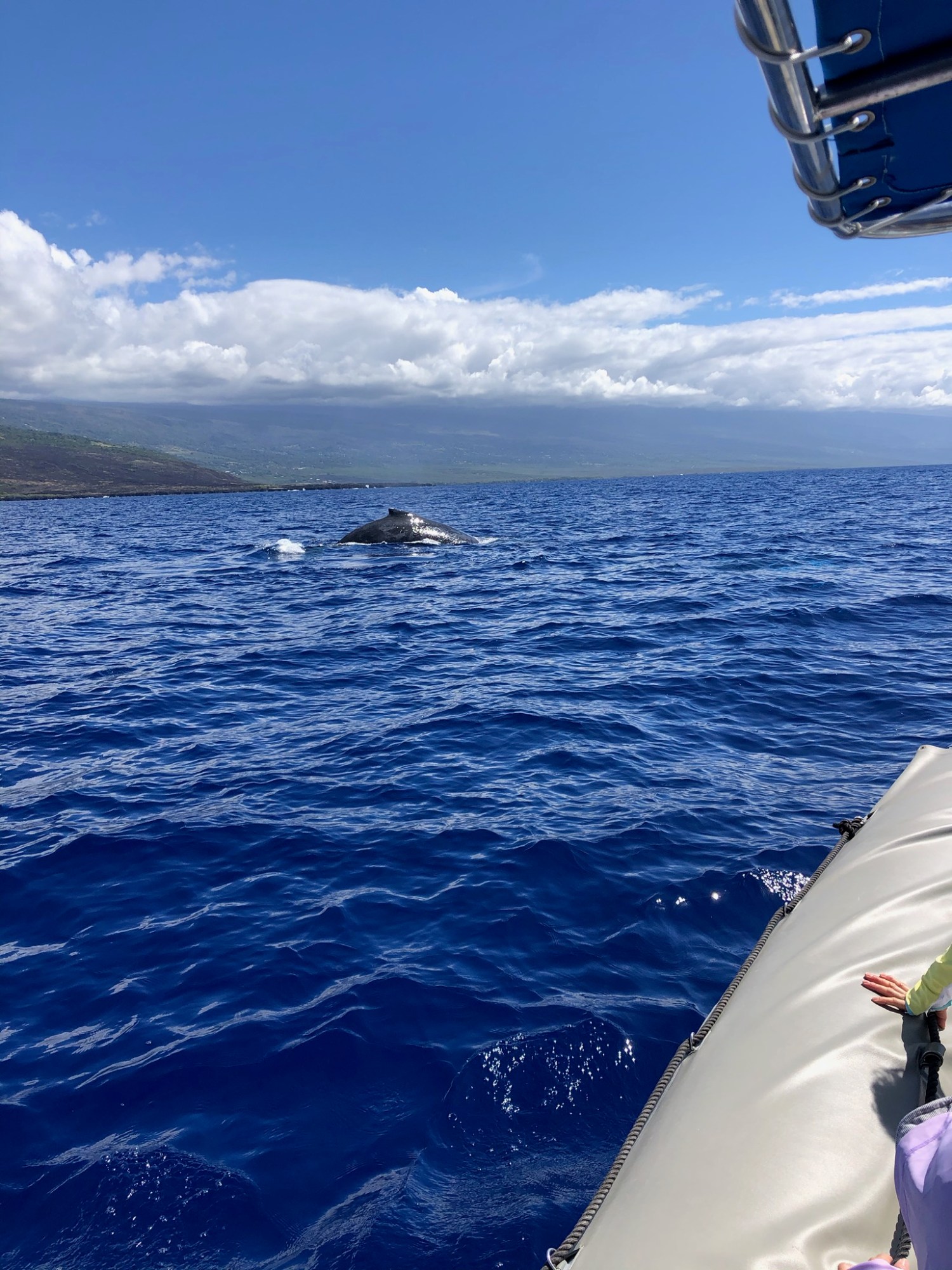 kona ocean adventures kona ocean adventures