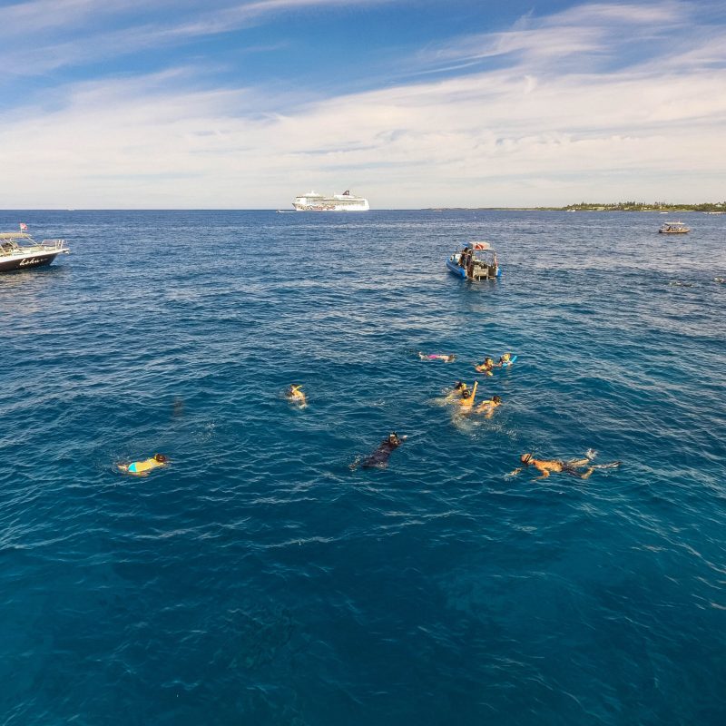 big island snorkeling tours