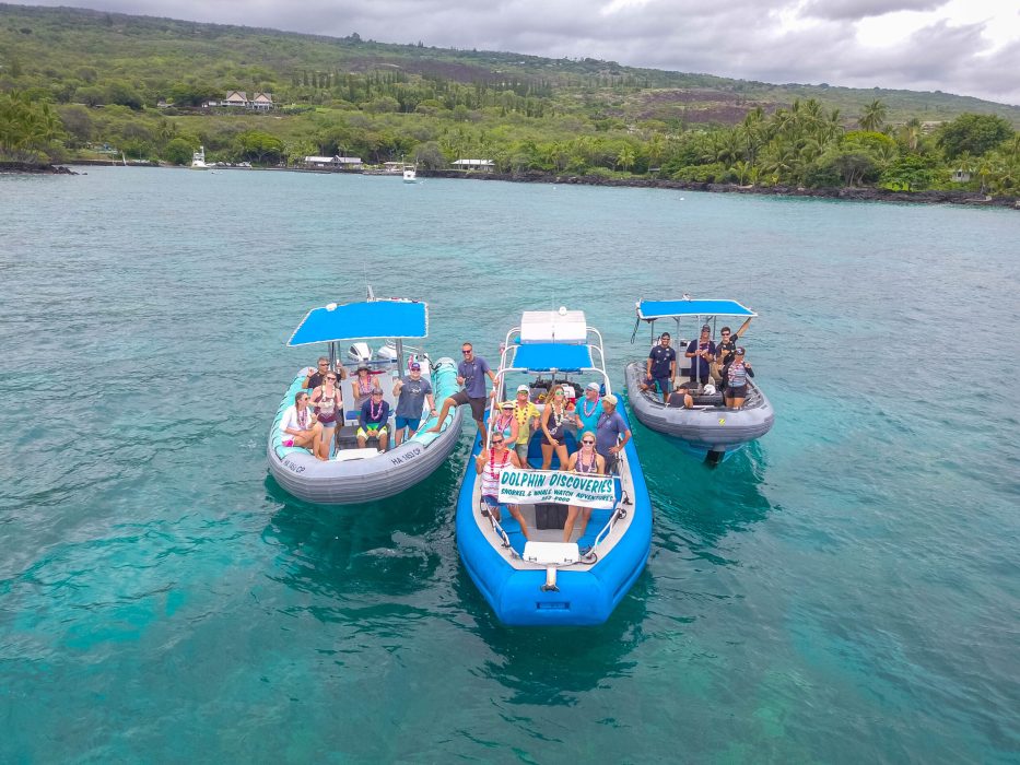 How Can I Find the Best Dolphin Boat Tours Near Me?