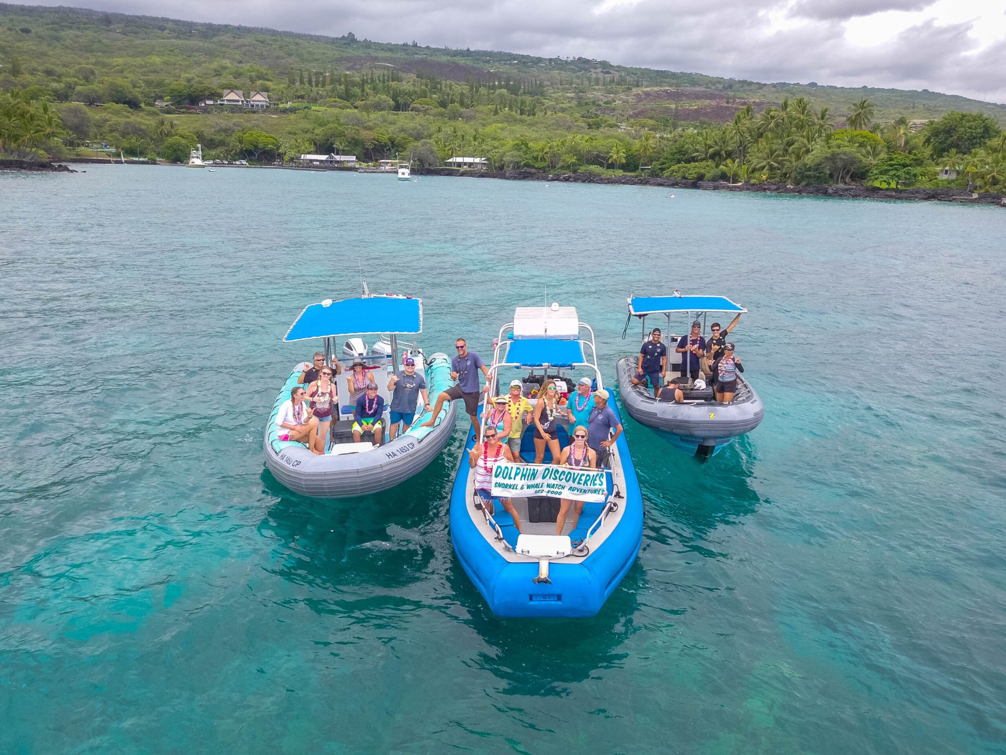 dolphin boat tours near me dolphin boat tours near me