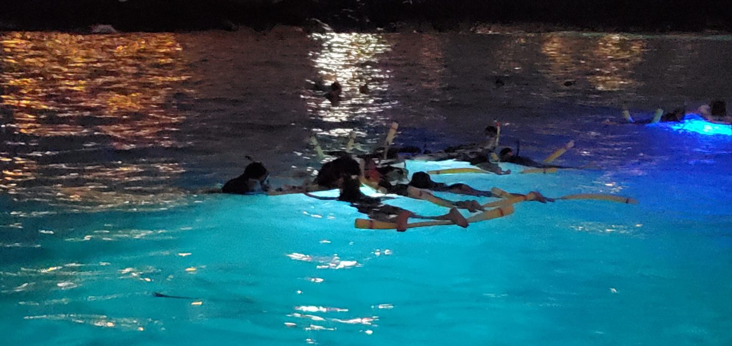 What to Expect on a Big Island Manta Ray Snorkel Trip